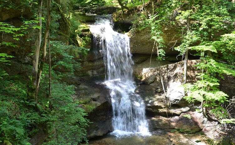 Allgaeu Bodensee Wasserfall Scheidegg Copyright Scheidegg Tourismus Web