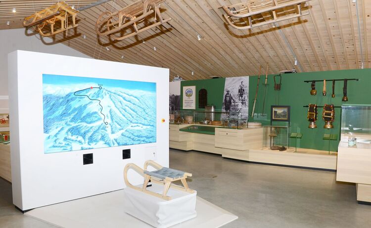 Alpenstadtmuseum Rasante Rodelfahrt Sonja Karnath Copy