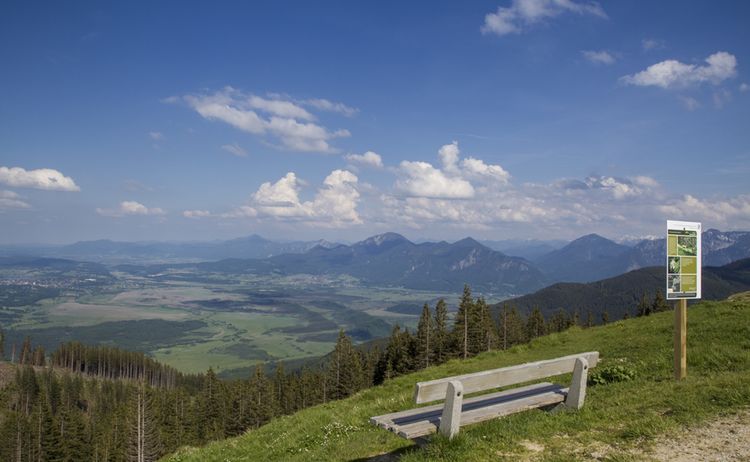 Bad Kohlgrub Blick Vom Hinteren Hoernle Nach Osten Foto Matthias Fend 1