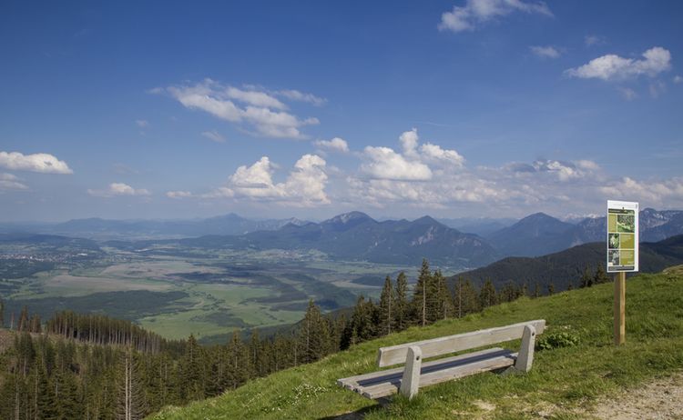 Bad Kohlgrub Blick Vom Hinteren Hoernle Nach Osten Foto Matthias Fend 2