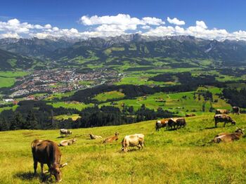 Deutsche Alpenstrasse Sonthofen 1