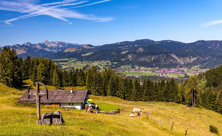 Hemmersuppenalm Sommer Stockklauser 2 Copy 1