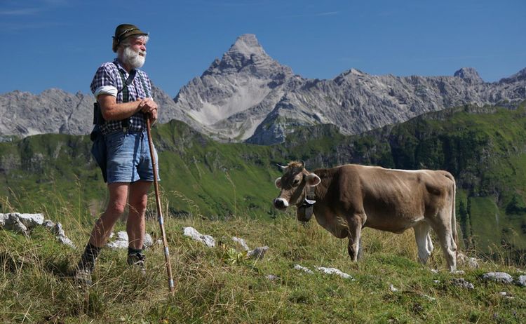 Ti Bad Hindelang Tourismus Wolfgang B Kleiner Alpwirtschaft Bad Hindelang Mit Blick Auf Hochvogel